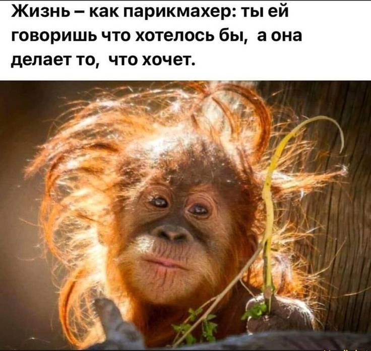 -4