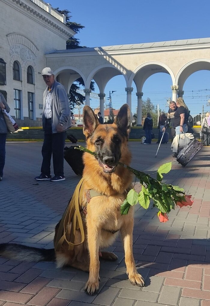 Листайте вправо, чтобы увидеть больше изображений
