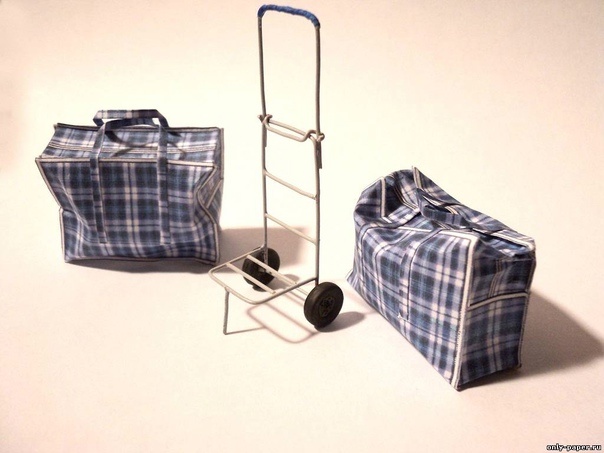 Примета эпохи, как говорят культурологи. Клетчатые баулы и тележки. Из Яндекс картинок для иллюстрации 