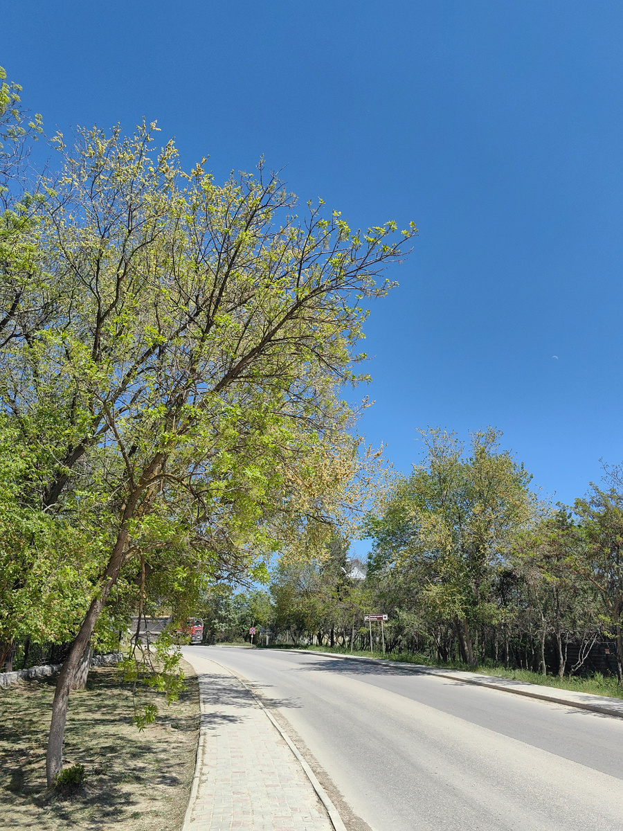 Сегодня. Фото автора канала