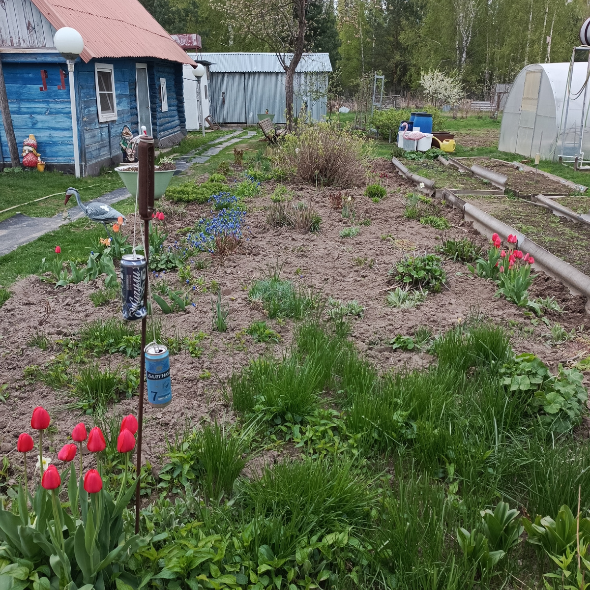 Фото автора статьи