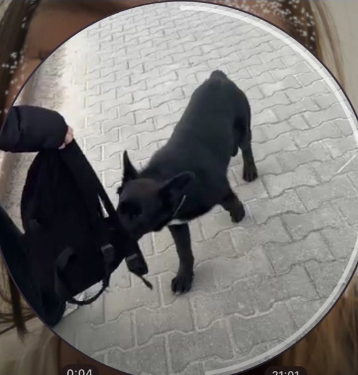 фото: vk.com/typicalmegion