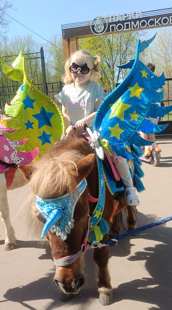 Вроде тоже ничего такой пони и не розовый. Фото автора