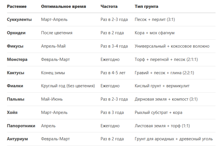 Календарь пересадки для 10 популярных растений