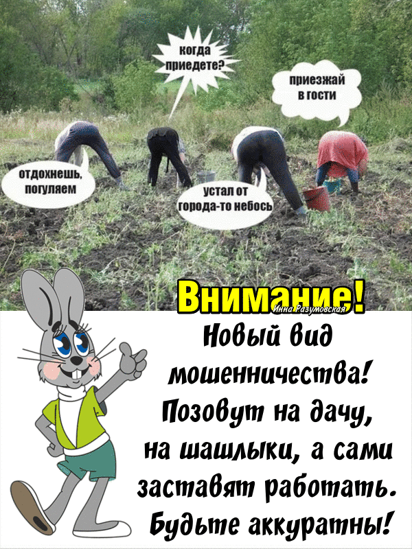 Фото из интернета. 