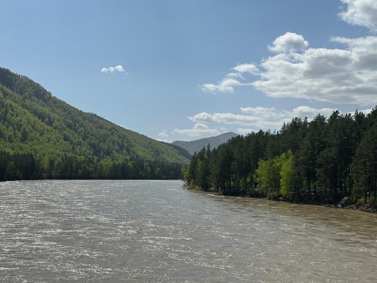 Обязательно, обратите своё внимание на цвет воды! Сравните с цветом в роликах! Весной все горные реки Алтая имеют такой вид, имейте это ввиду! 