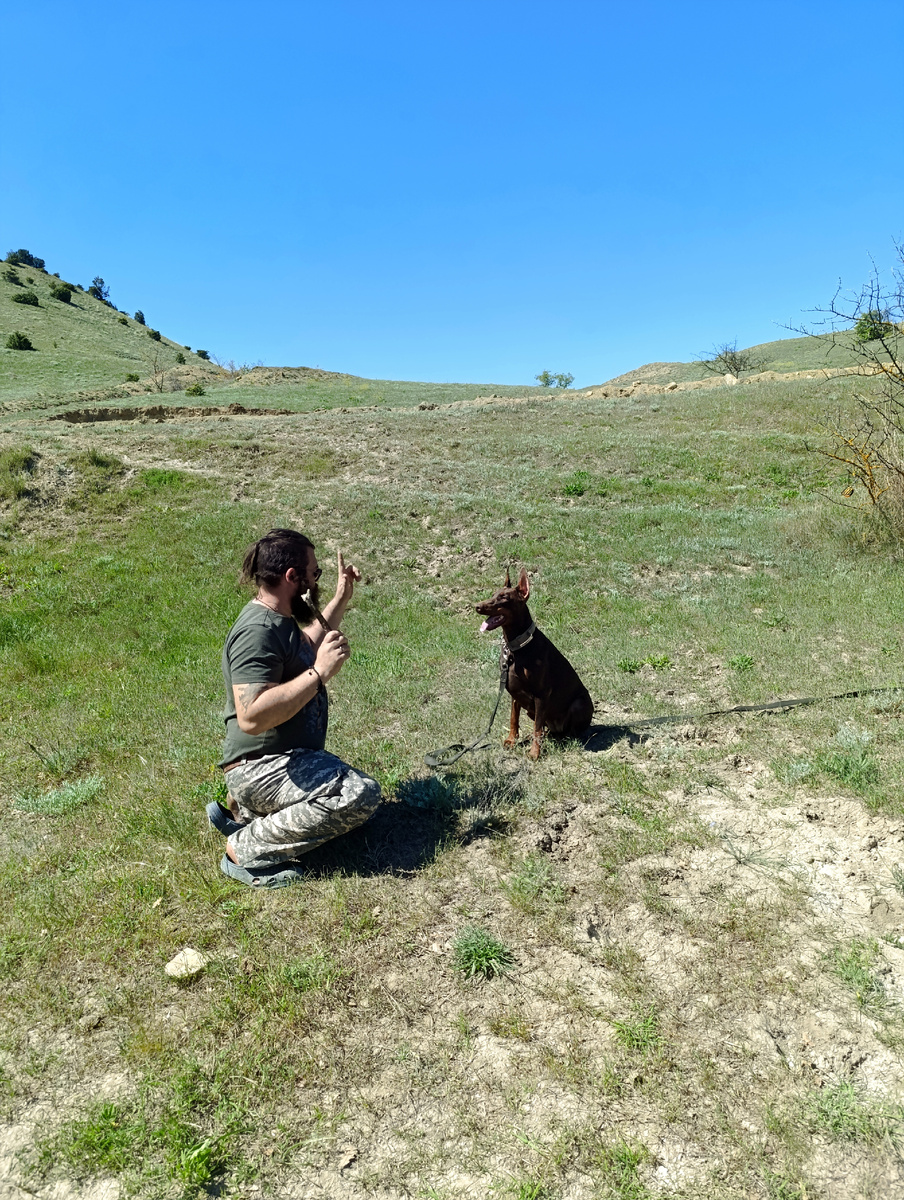 Сиди, суслик, сиди