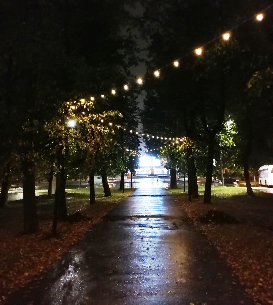 Авторское фото М.В. Гуреева (3.10.2023)