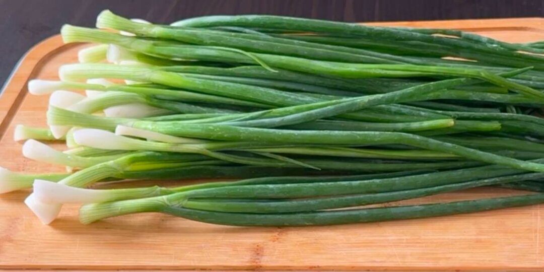 «Весенний соус из зелёного лука – аромат и вкус в каждой ложке!»