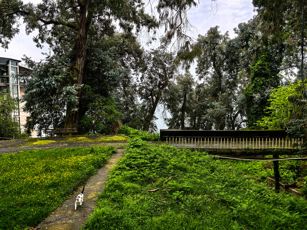 Вид с нашей террасы