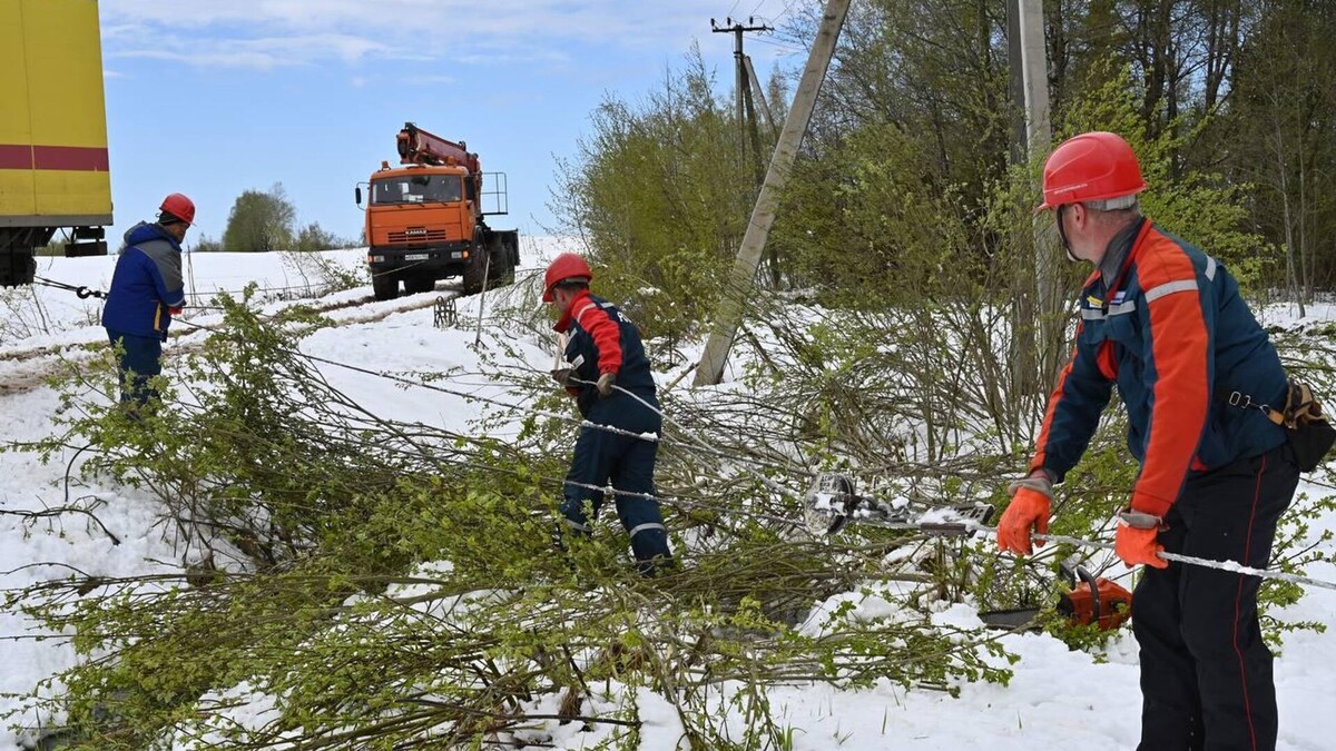 Источник https://cdnn21.img.ria.ru/images/07e9/05/03/2014750621_0:7:1281:727_1920x0_80_0_0_7de8370f07fab0096567d53ce70a4916.jpg