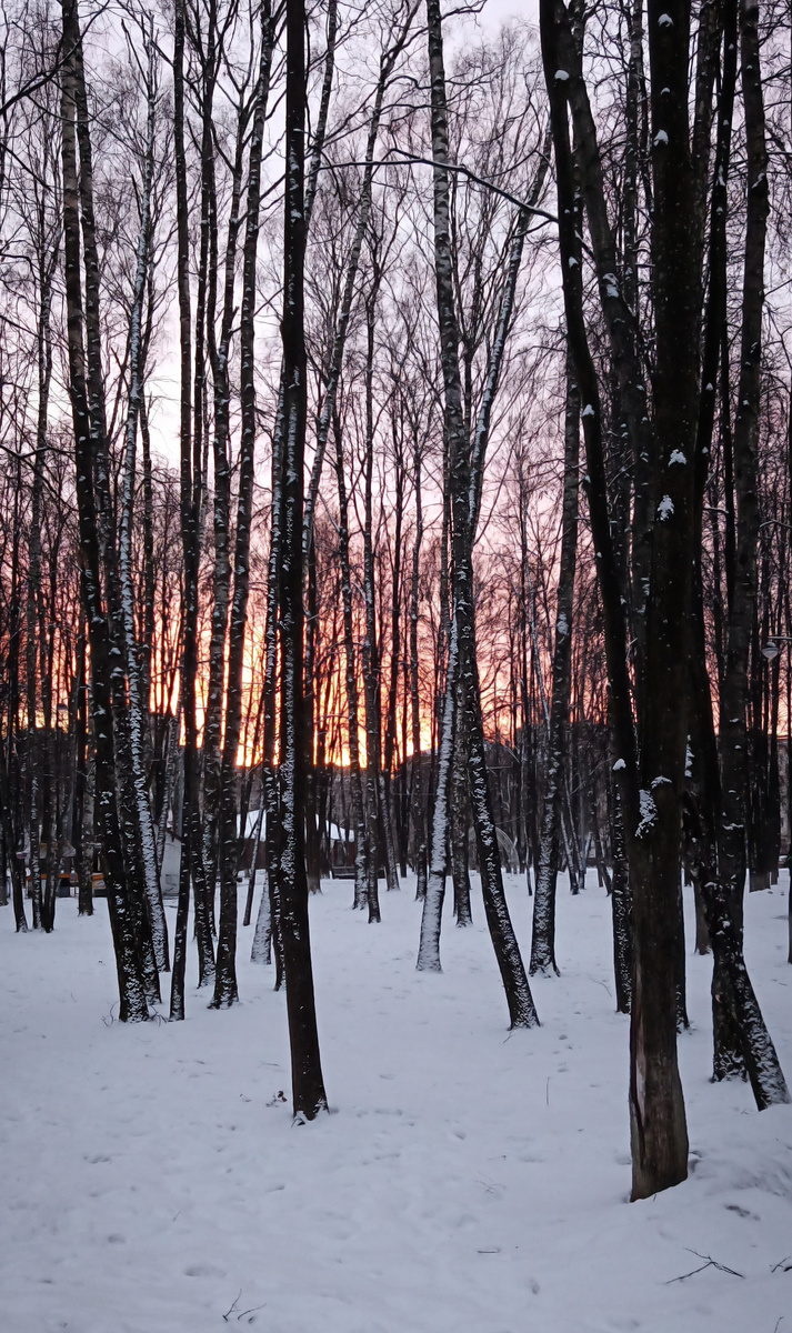 Центральный городской парк. Королёв. 02.05.2025.