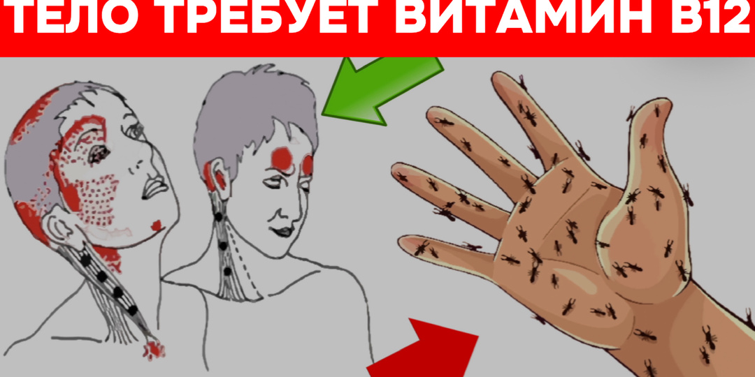 Тихий крик клеток: 11 симптомов дефицита В12, которые мы годами принимаем за обычную усталость