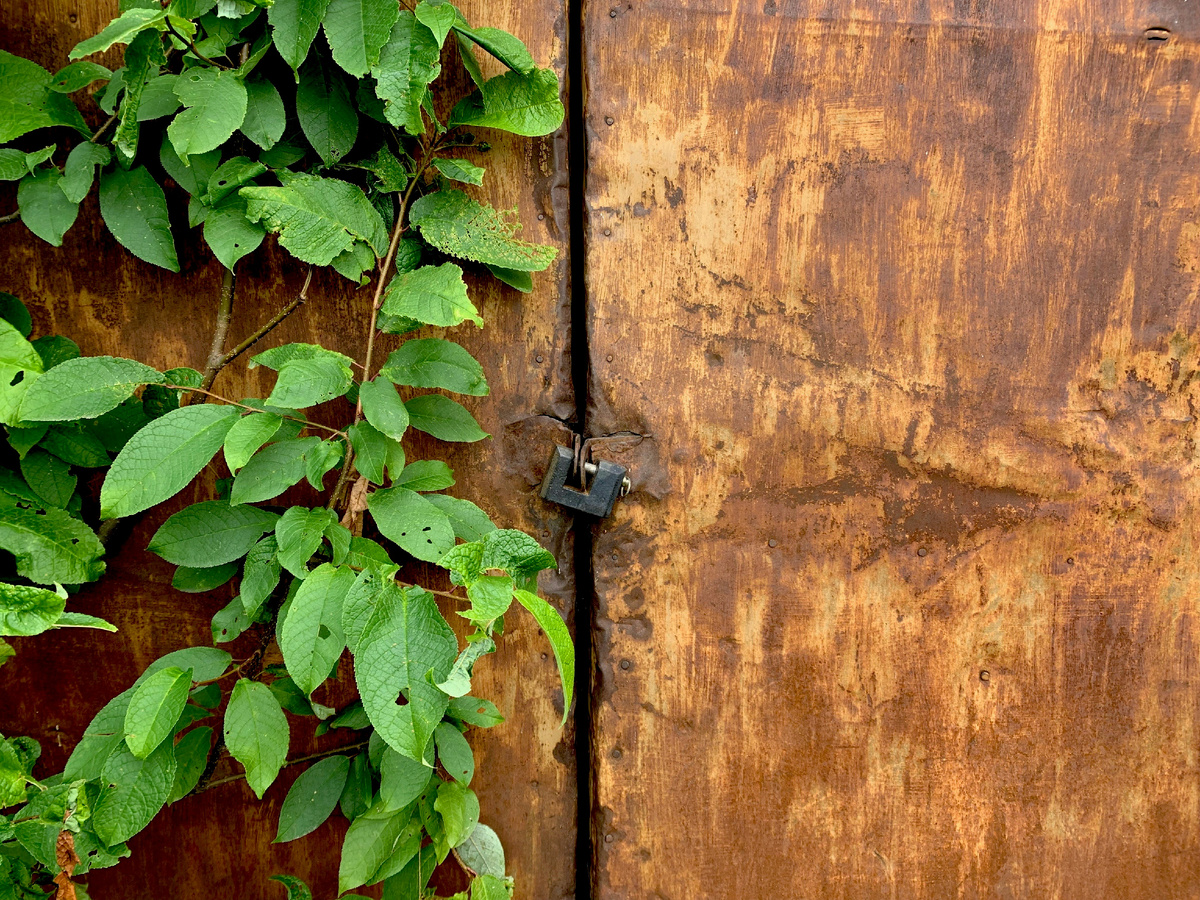 "Замки наших зыбких слов мы оставляем в наследство
И когда не станет снов тогда закончится детство"(с) Фото: Unsplash
