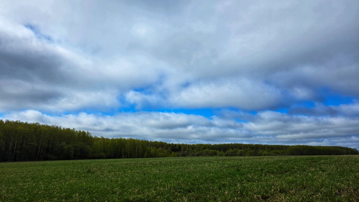 Наше прогулочное поле