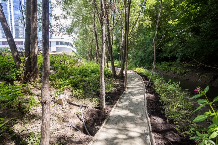    Чтобы избежать укуса клеща, лучше ходить не по траве, а по тропике. Фото Андрея Заржецкого