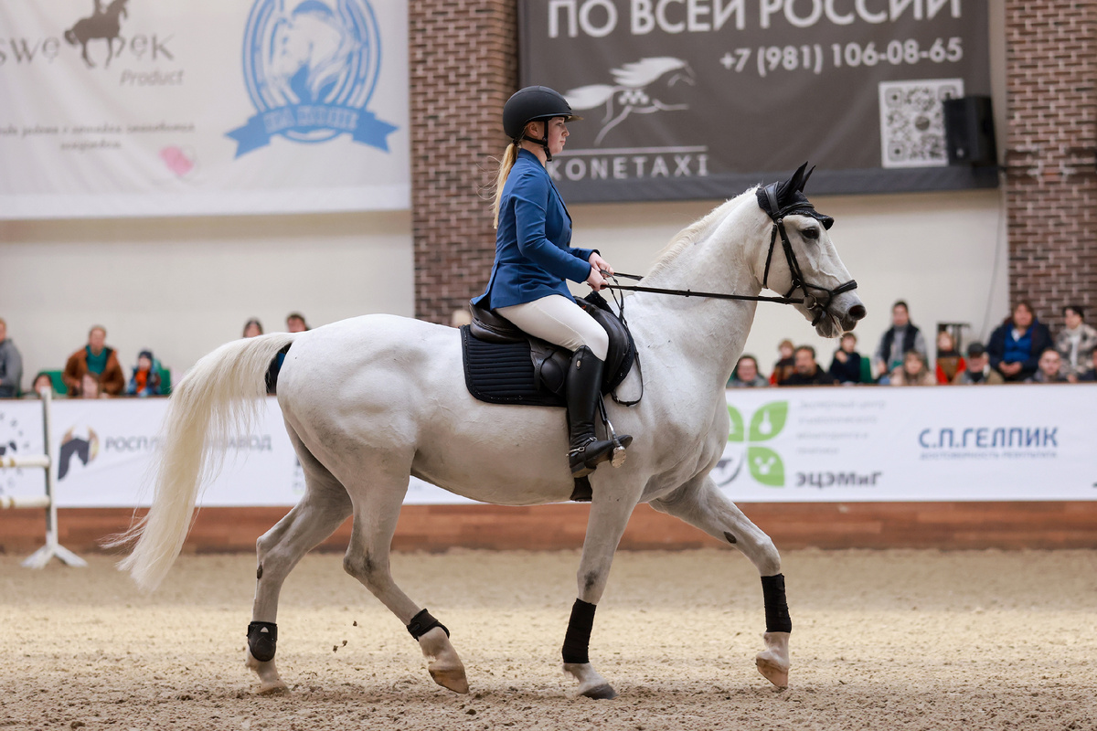 Анастасия Маслова и Гамбит. Фото предоставлены Ассоциацией «Росплемконзавод».