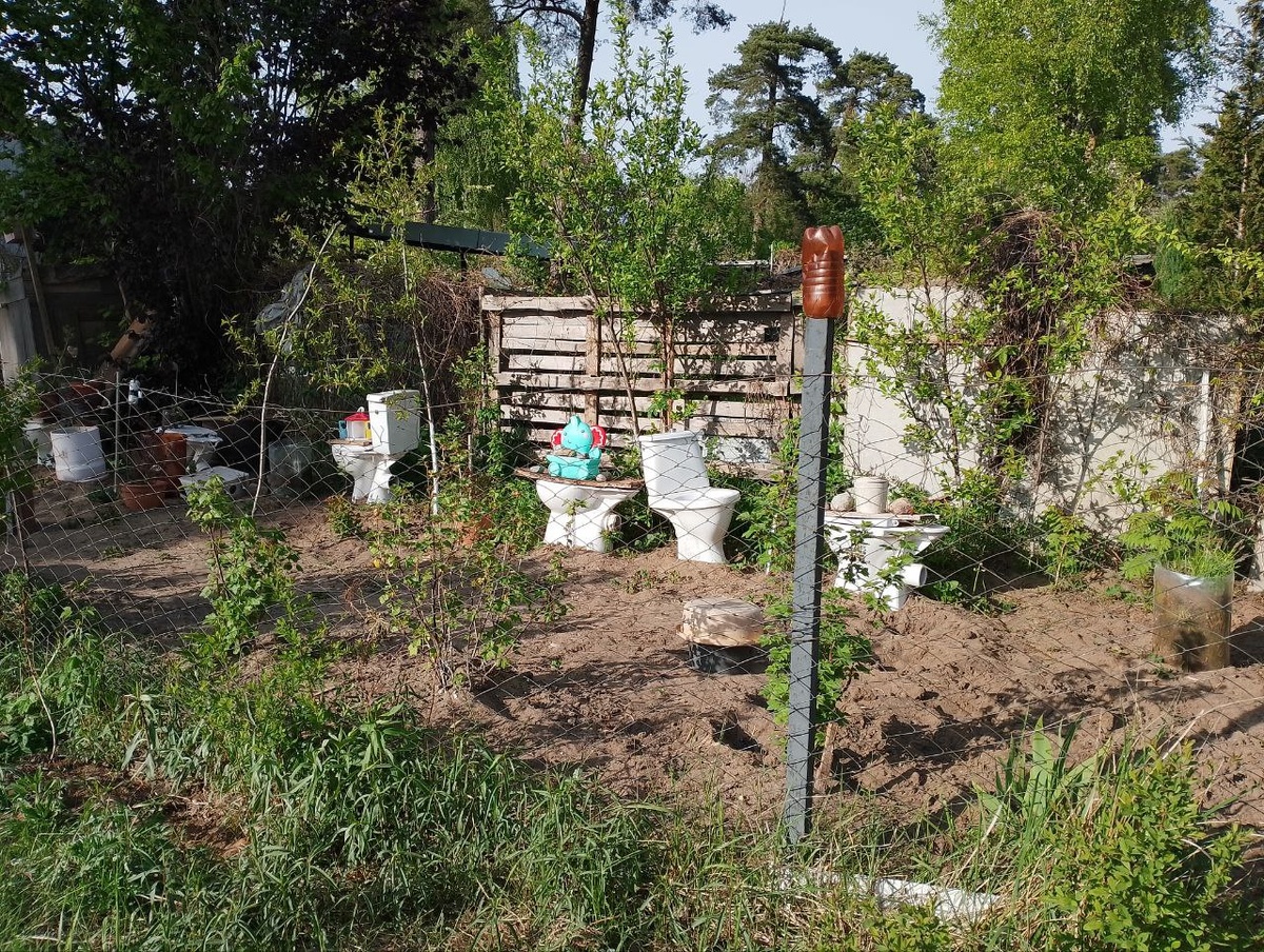 Унитазно-декоративная инсталляция, украшающая чей-то огород.