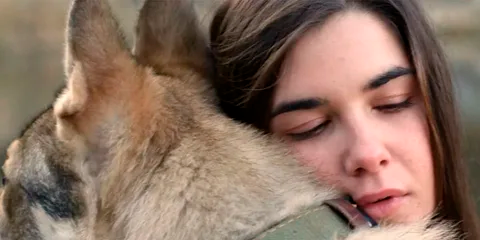 Фото: Яндекс картинки