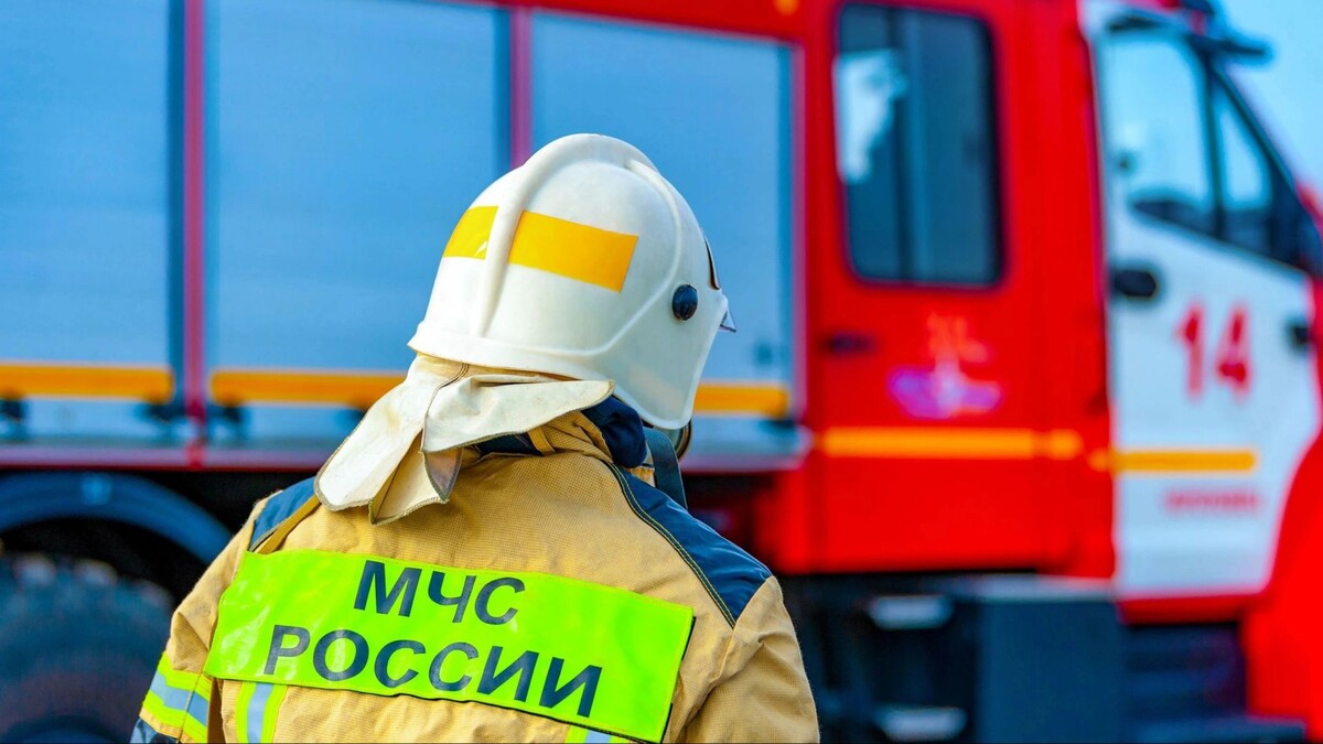    Фото: Evgenii Panov/Shutterstock/Fotodom