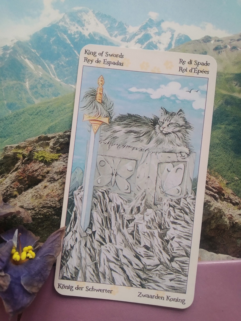 Король мечей - Языческие кошки