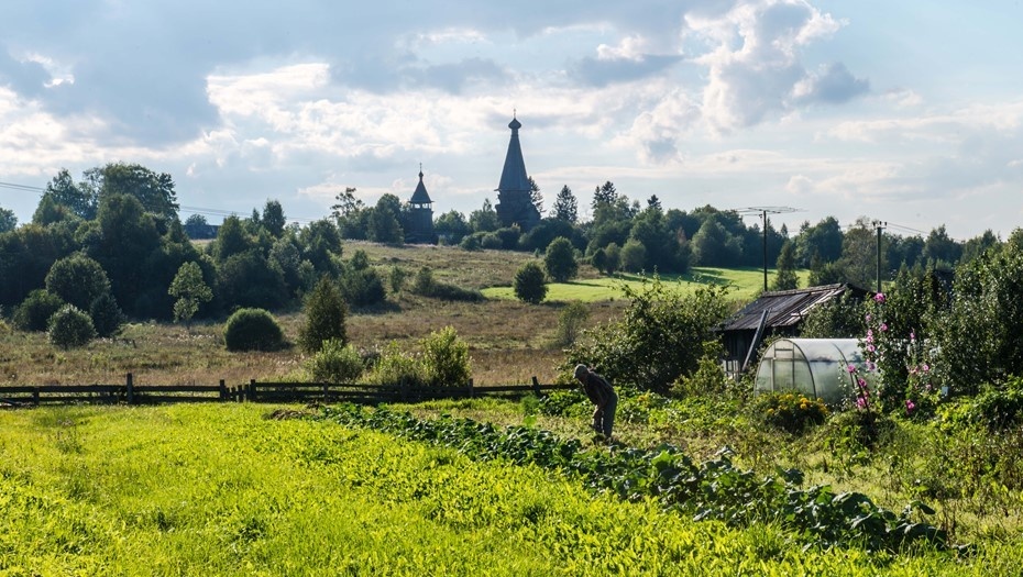    Автор фото: Тихонов Михаил/"ДП"