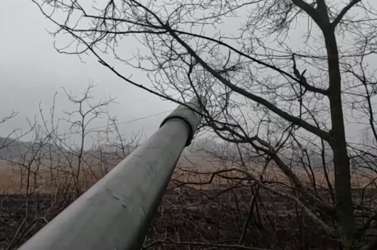    В Курской области ВСУ массово сдались в плен при попытке прорвать границу