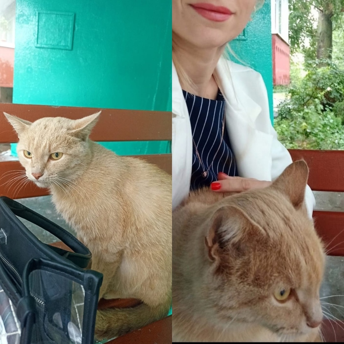 Та самая судьбоносная встреча!