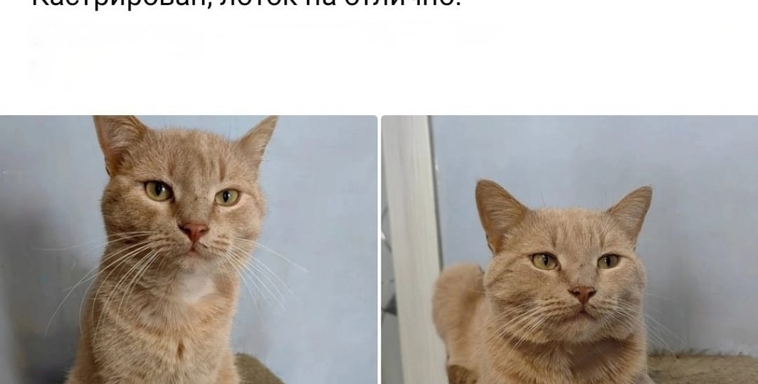 Найден спустя годы: история одной встречи, ставшая судьбой