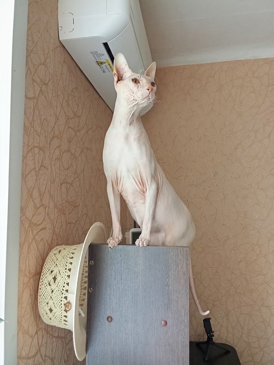 Вернулся в родной дом и очень этому рад!