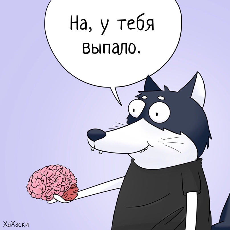 Яндекс картинки