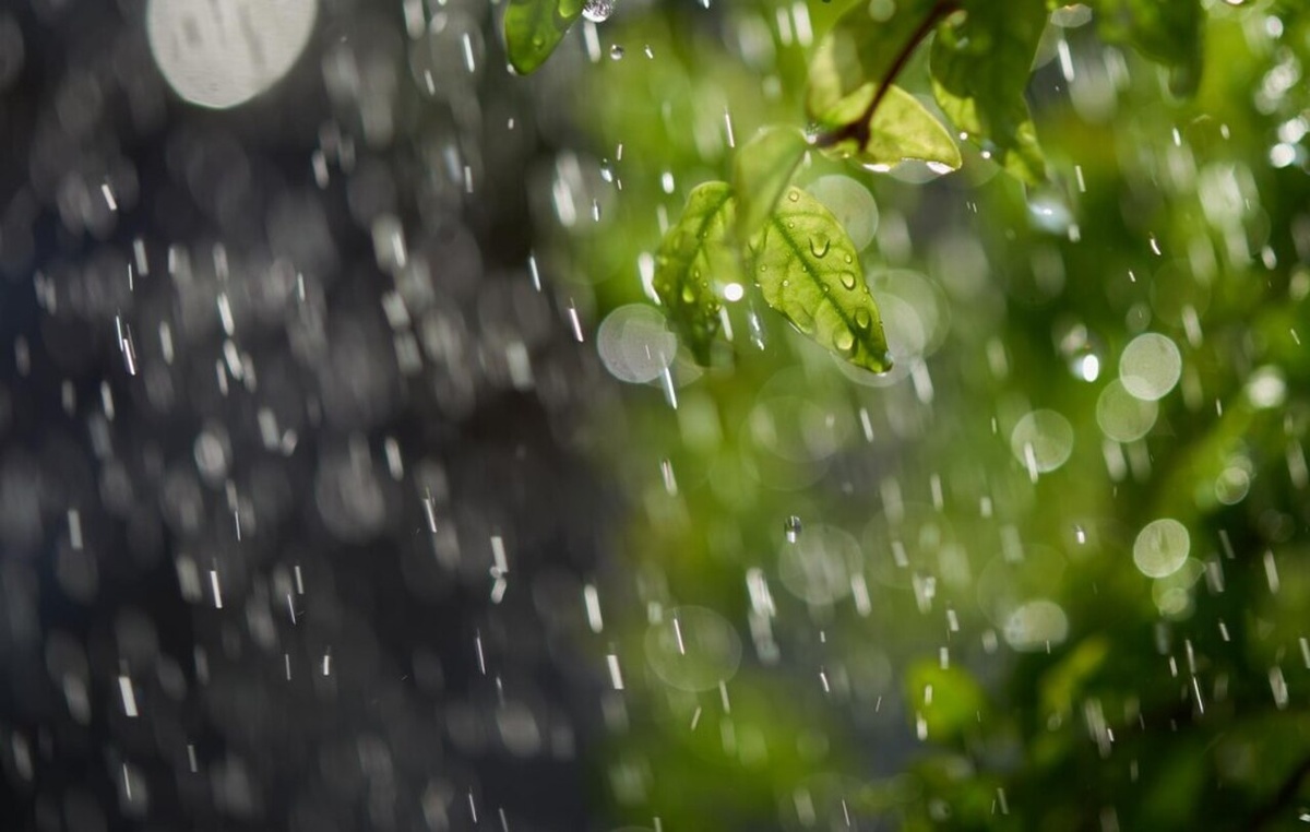    Погода в Курской области: будьте готовы к ветру и небольшому дождю
