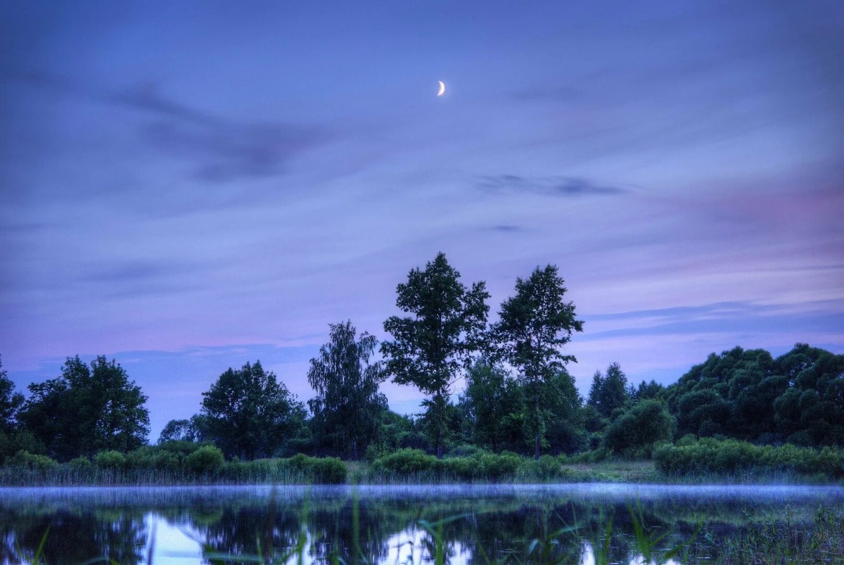 из открытого источника