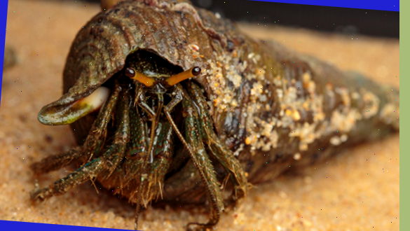 Кстати, про рот. Нашли?