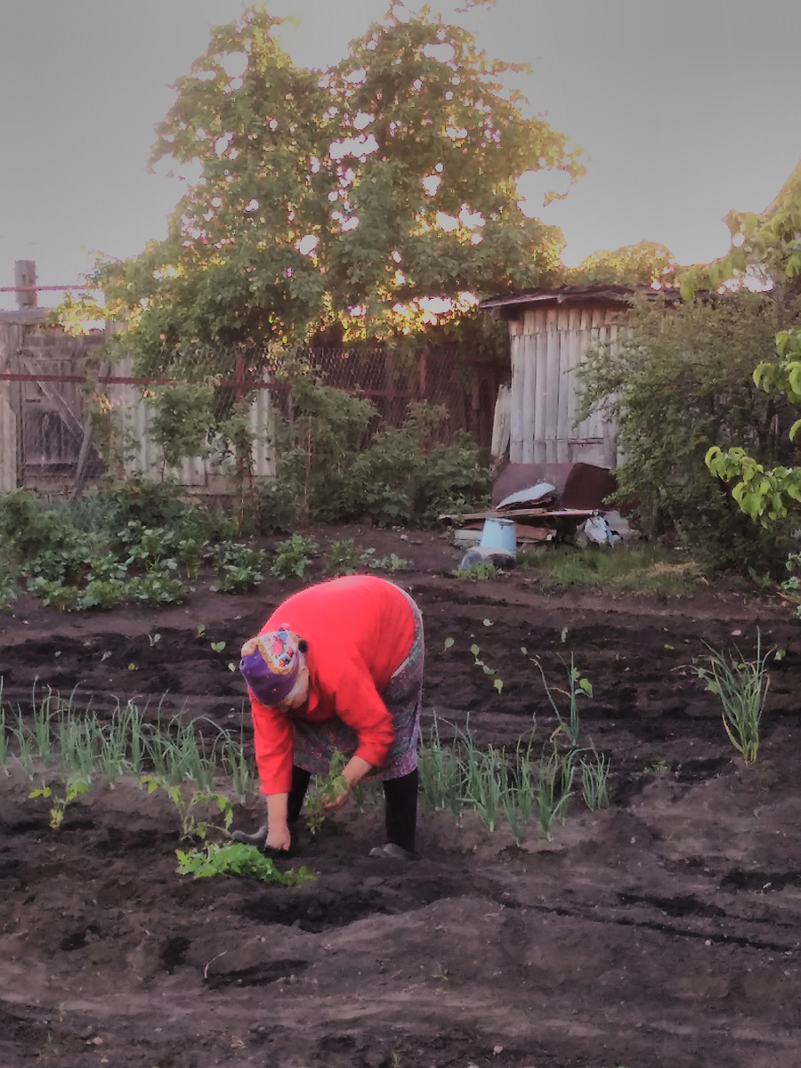 моя мамочка.