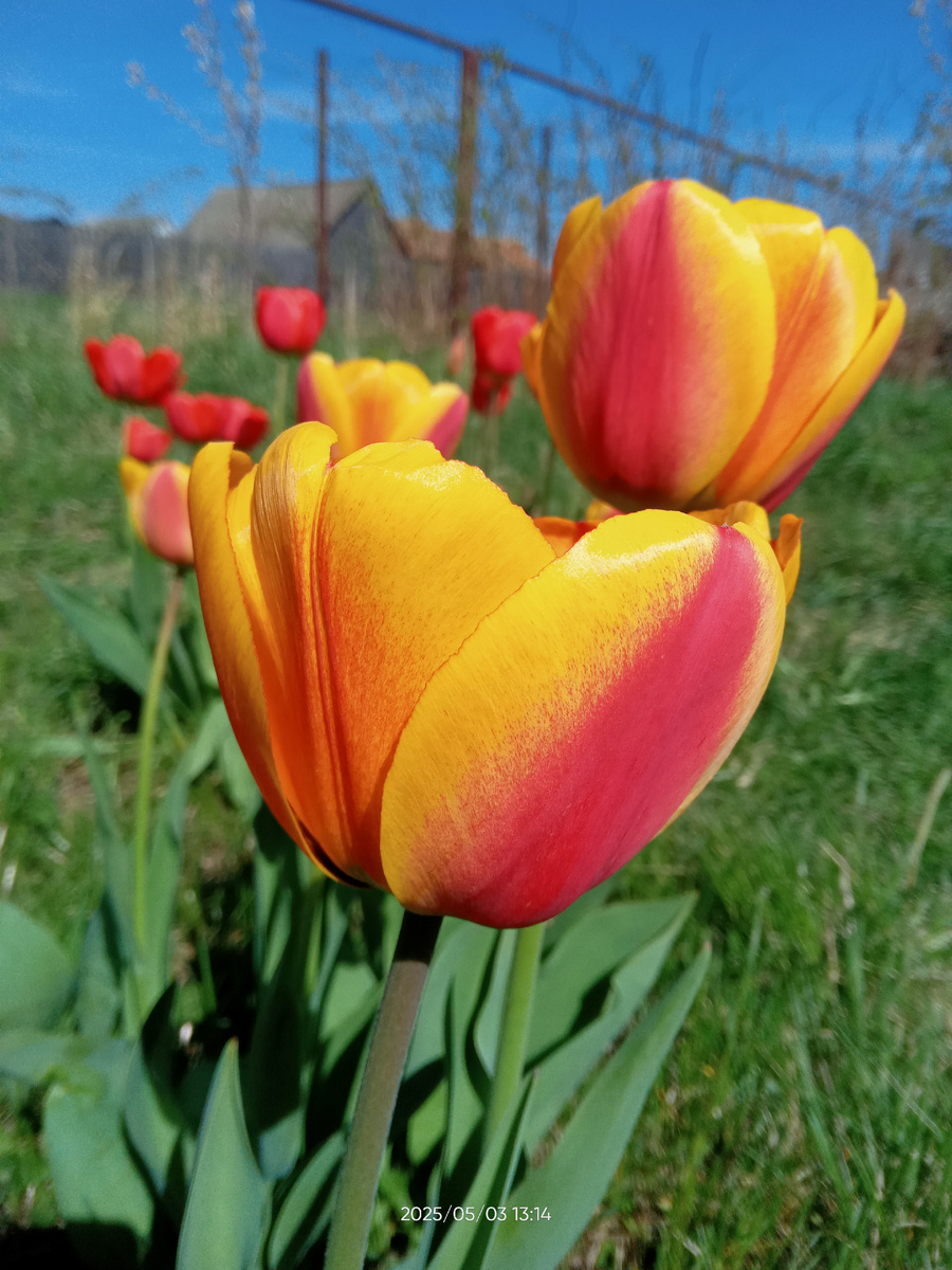 Фото автора 