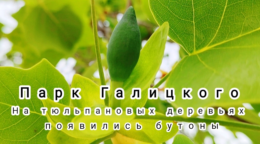 🌿🌱🌿🌱🌿🌱🌿