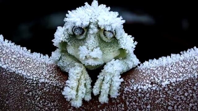 Фото из открытых источников интернета.