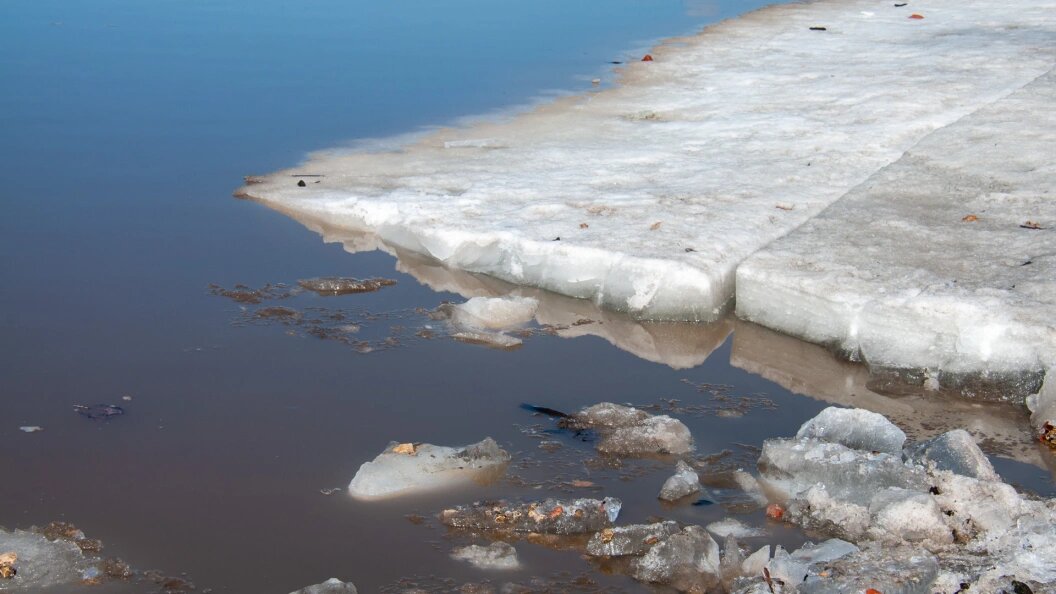    Svetlana Vozmilova/Globallookpress