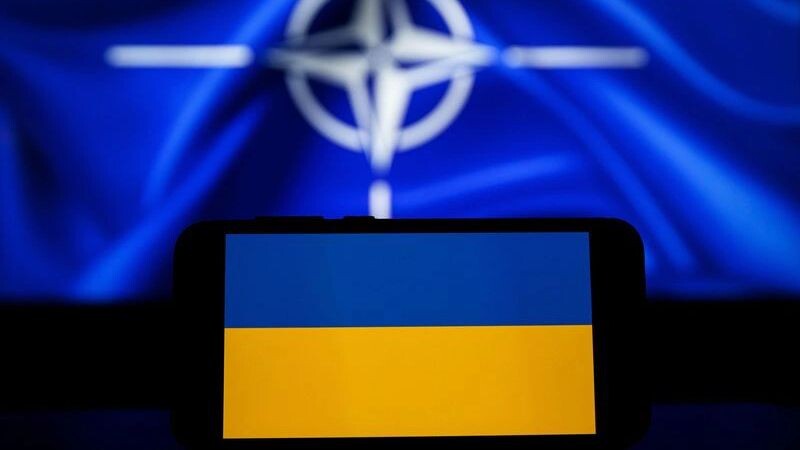    Фото: Rokas Tenys/Shutterstock/Fotodom