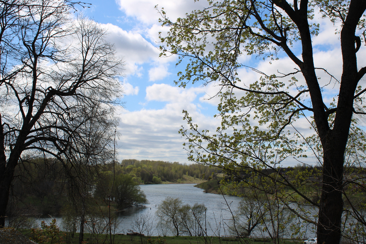 Озеро в Овстуге - запруда на реке Овстуженке. 