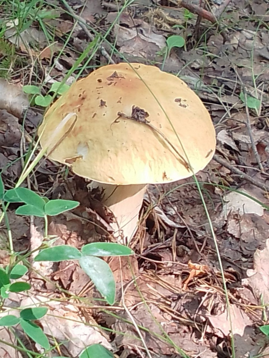 фото из личного архива