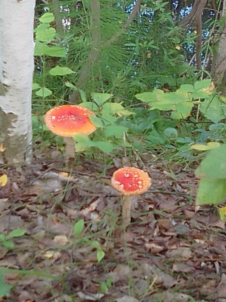 фото из личного архива