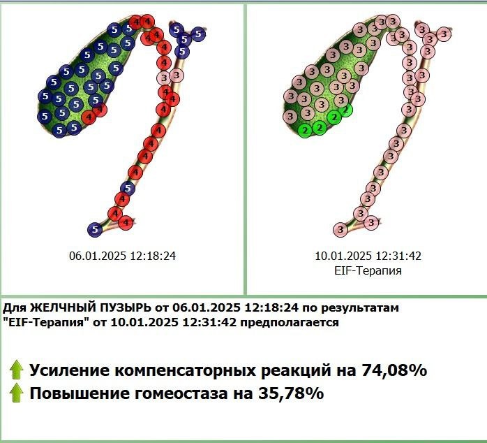 Диагностика с коррекцией состояния в программе Дианел