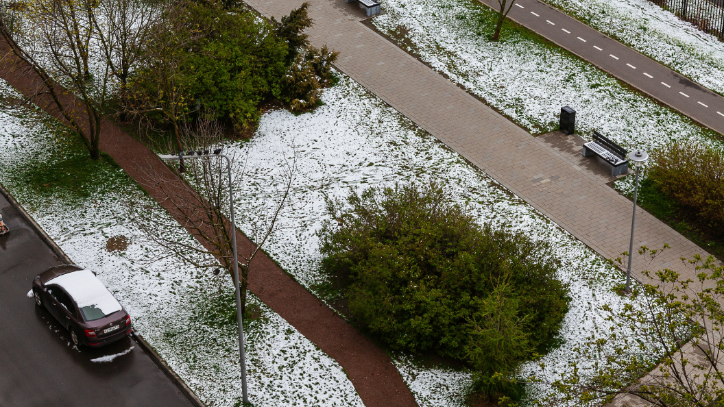    © Roman Denisov/Globallookpress