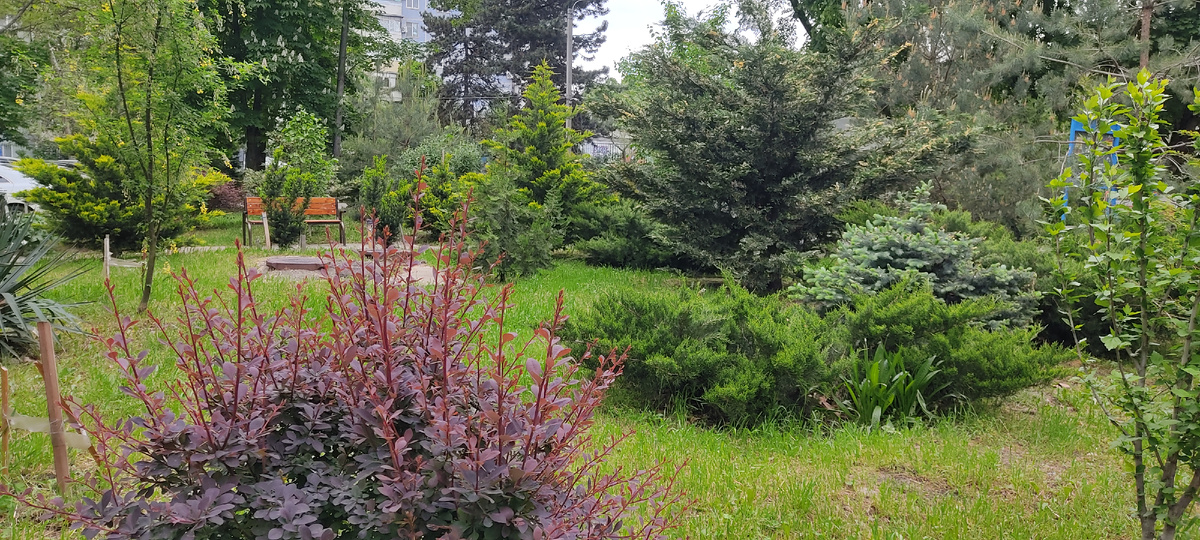 Во дворе дома в Краснодаре