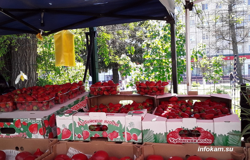    Клубника на рынке в Камышине