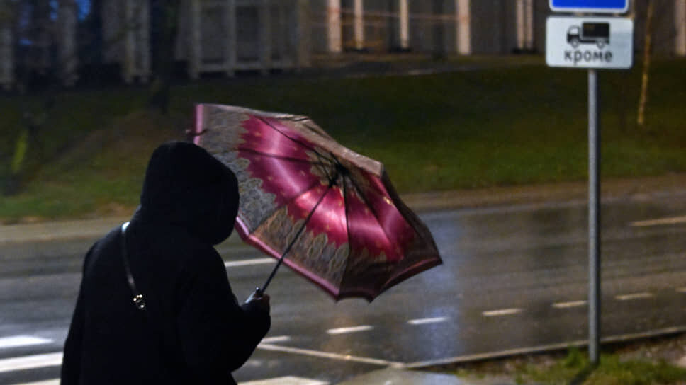 Фото: Анатолий Жданов / Коммерсантъ