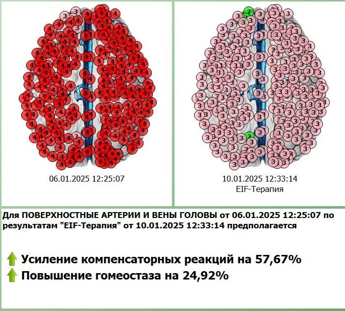 Диагностика физического тела с коррекцией состояния в программе Дианел