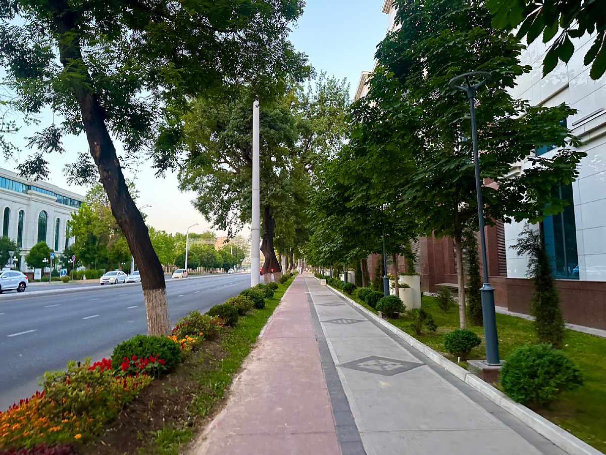 Дорожка красного цвета 